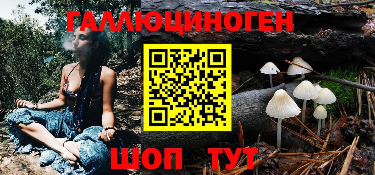 Энгельс  Псилоцибиновые грибы MAGIC MUSHROOMS  Вход с VPN 